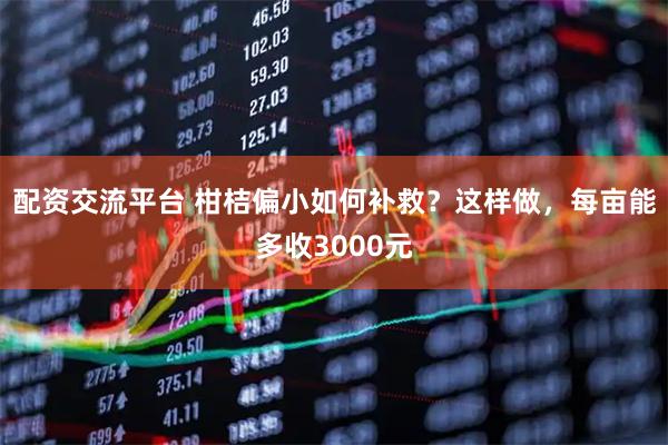 配资交流平台 柑桔偏小如何补救？这样做，每亩能多收3000元