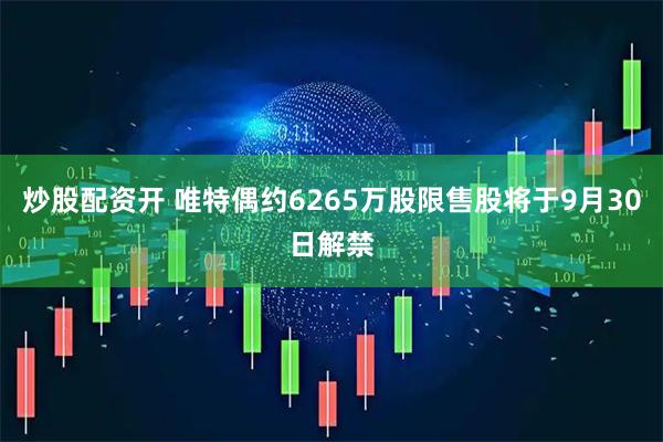 炒股配资开 唯特偶约6265万股限售股将于9月30日解禁
