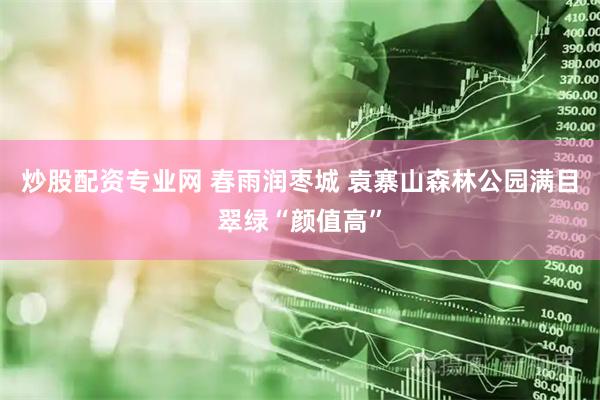炒股配资专业网 春雨润枣城 袁寨山森林公园满目翠绿“颜值高”