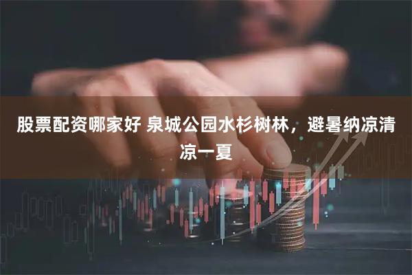 股票配资哪家好 泉城公园水杉树林，避暑纳凉清凉一夏