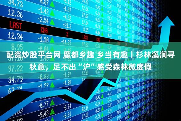 配资炒股平台网 魔都乡趣 乡当有趣丨杉林溪涧寻秋意，足不出“沪”感受森林微度假